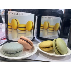 THE SLIME 素食蛋白粉500g/罐